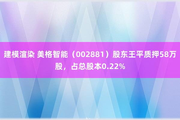 建模渲染 美格智能（002881）股东王平质押58万股，占总股本0.22%