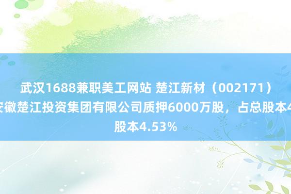 武汉1688兼职美工网站 楚江新材（002171）股东安徽楚江投资集团有限公司质押6000万股，占总股本4.53%